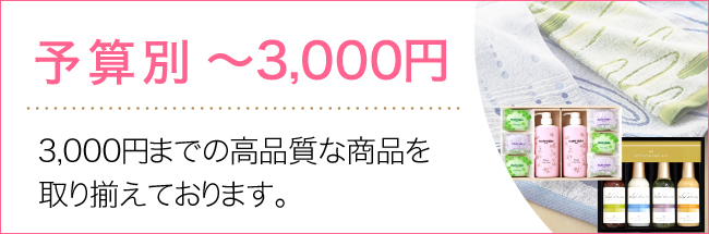 ～3000円