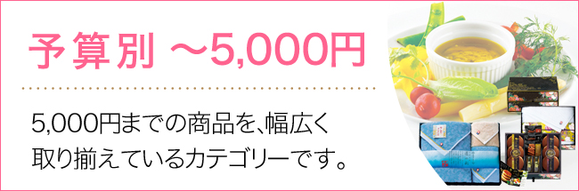 ～5000円